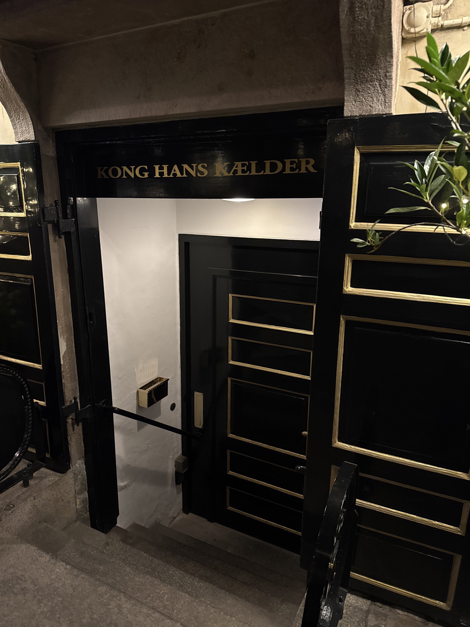 Kong Hans Kælder