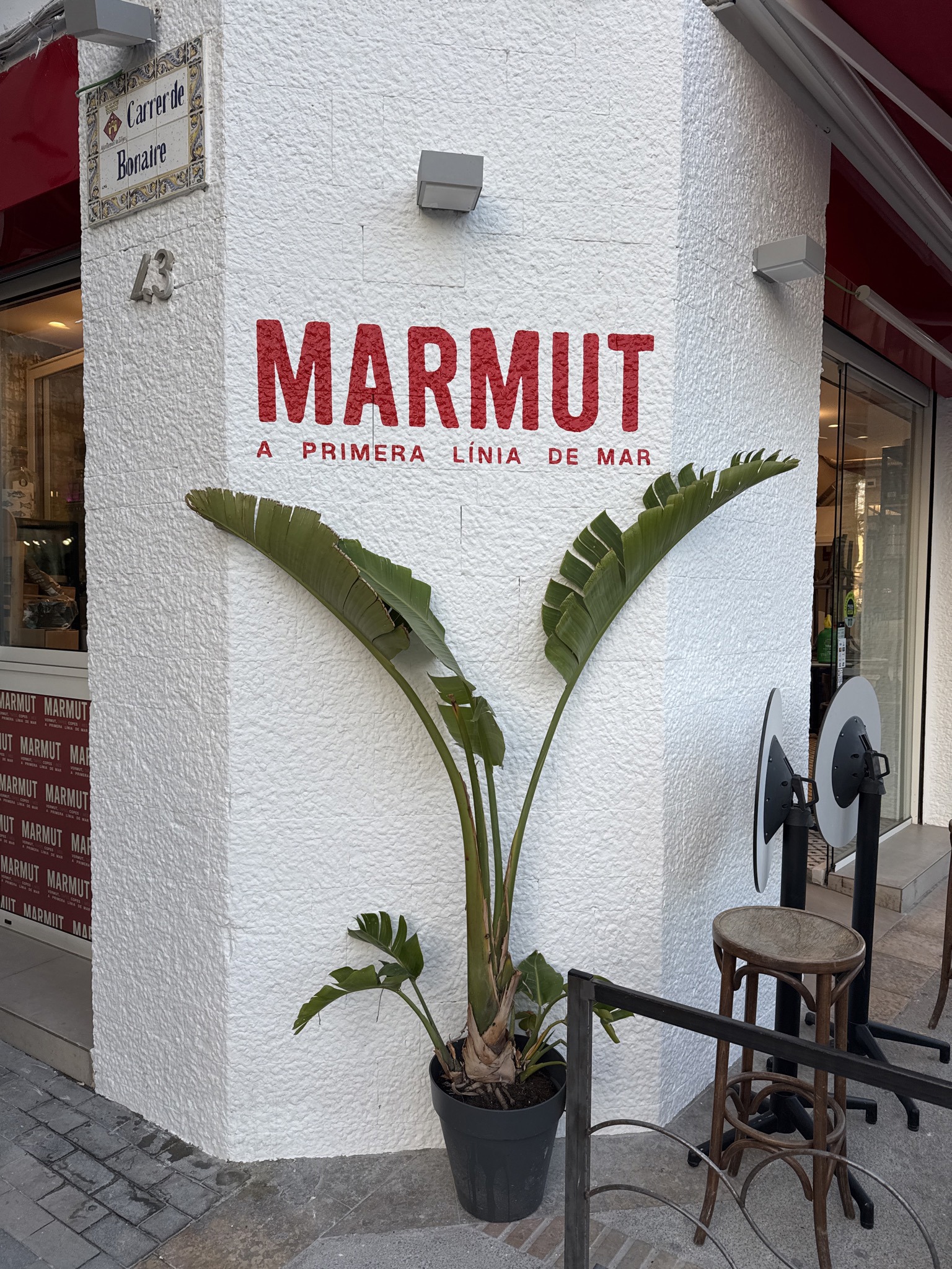 Marmut