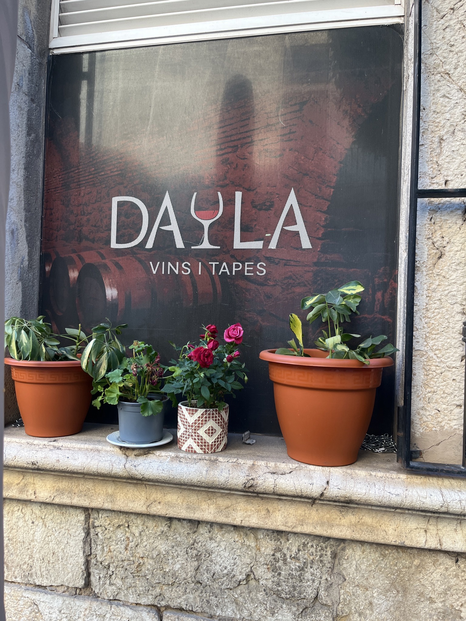 Dayla Vins I Tapes